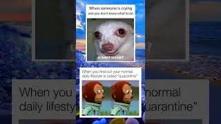 Introvert memes👨🏻#shorts #memes