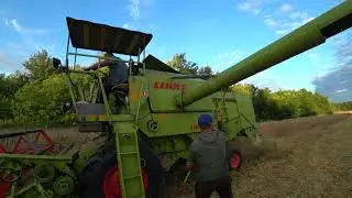 УБОРКА УРОЖАЯ-2020 Молотим ЯЧМЕНЬ. CLASS Consul