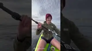 Дружелюбный кит 