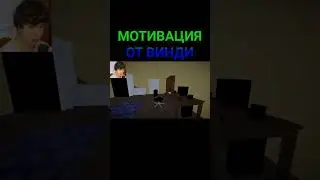 Мотивация от винди #meme #винди #мотивация #windy31
