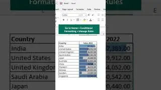 Data Bars in Excel || Excel Data Bars