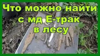 Нашел в лесу древние артефакты