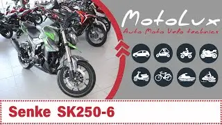 Мотоцикл Senke  SK250 6 відео огляд || Мотоцикл Сенке СК250 6 видео обзор