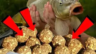 ЛУЧШАЯ ПРИКОРМКА для САЗАНА и Карася.  