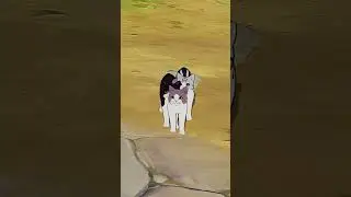 ГАЙД НА ЗАКАТНИКИ  