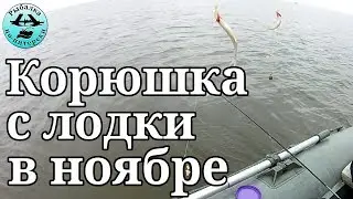 Корюшка с лодки в ноябре