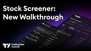 The Stock Screener Explained: Tutorial