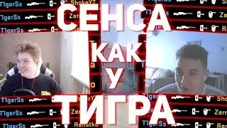СЕНСА КАК У ТИГРА (ШАРФ, Ramz1k) // ЮТУБЕРЫ ИГРАЮТ С БОЛЬШОЙ СЕНСОЙ