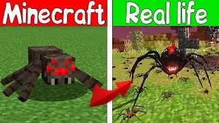Realistic SPIDER - Realistic minecraft