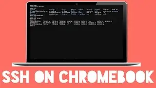 How to Connect to SSH on Chromebook