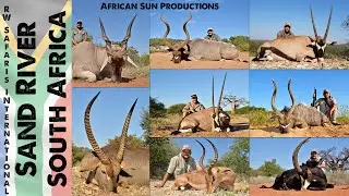 Hunt Plains Game in the Sand River, South Africa