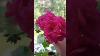 НАСЛАЖДАЙСЯ СВОИМИ ПОБЕДАМИ🌺