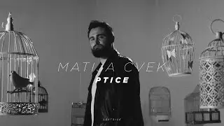 MATIJA CVEK - Ptice (Official Video)