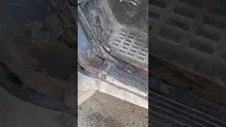 Это газель🤪