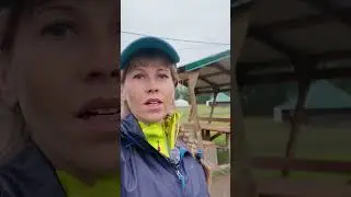Атмосфера пути на Шавлинские озера 