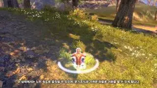 Blade and Soul система смерти