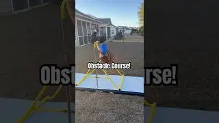 Turning our backyard into a gym! 