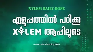DAILY DOSE #4 💚 | 122 DAYS FOR NEET 2021 ❤
