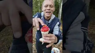 А это 🤫 - БЕЛЕНЬКИЙ ГРИБ