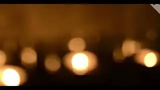 Background Blurred Video Bokeh best 7