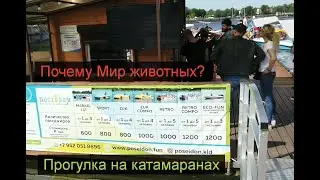Мир животных Калининград, Катамараны, Верхнее озеро.