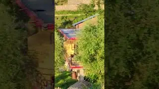 Тибетские женщины собирают урожай 