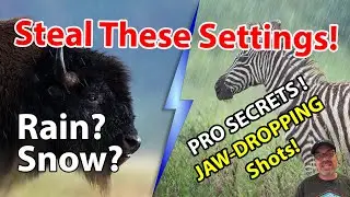 AMAZING Photos In BAD WEATHER - Unlock These Pro Secrets To Drop Jaws!