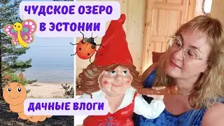 Эстония Чудское озеро.Где отдохнуть в Эстонии?Итоги конкурса на имя гнома.Дача в Эстонии.Влоги
