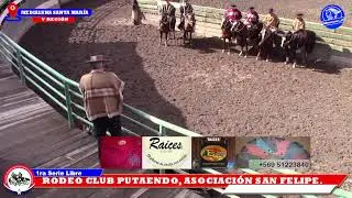 1RA SERIE LIBRE,  RODEO CLUB RODEO CLUB PUTAENDO, ASOCIACION SAN FELIPE, MEDIALUNA SANTA MARIARA