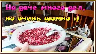 ВЛОГ: Прогуливем и живем на даче