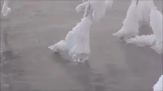 Жду весну (Ольга Федотова)