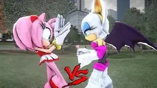 Amy Rose VS Rouge the Bat