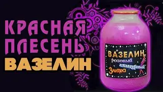 Красная Плесень - Вазелин | Лучшие песни @kr.plesen