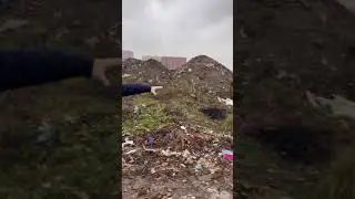 ‼️SOS‼️Экологическая катастрофа в Измайлове‼️