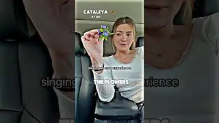 Pretty Little Baby lyrics Compilation | TikTok Mashup 2025 May 