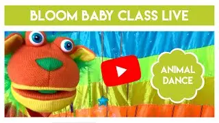 The Animal Dance | Fun Video For Babies & Kids | Educational Video For Babies