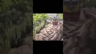 Dancing train 