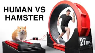 Beat The Hamster, Win $10,000