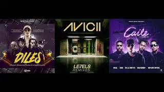 Diles X Levels (Skrillex Remix) X Caile (Mashup) - Bad Bunny, Avicii, Skrillex, Zion