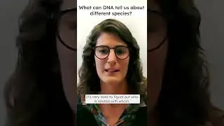 What can DNA tell us about different species?