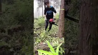 Cut wood for her work and creative girl idea