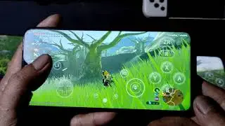 LEGEND OF ZELDA BOTW using egg ns 4.1.2 | Helio G90T, SD 720G and SD 732G