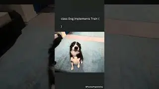 #programmingmemes