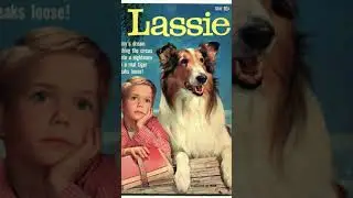 LASSIE Easter Egg In Fallout! 