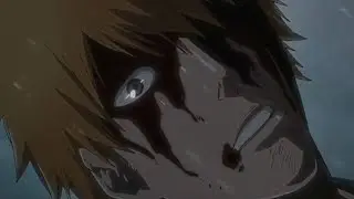 Fall Of The Soul Society