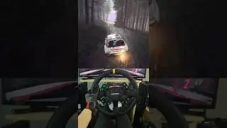 Hardest Stage on Dirt Rally??