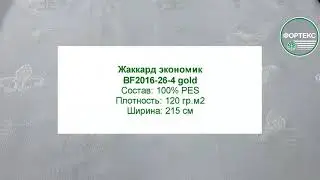 Жаккард экономик BF2016 26 4  gold