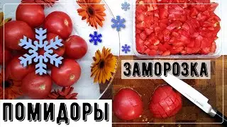 Всю зиму со свежими помидорами. Мой способ заморозки помидор