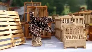 salon terre de chasse samedi1