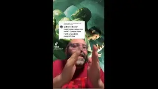 ¿SI BANNER MUERE, MUERE HULK?